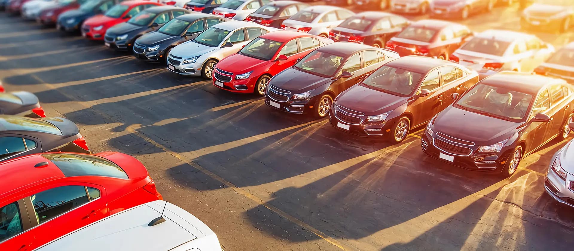 Cars ready to be purchased by QuickCarBuy